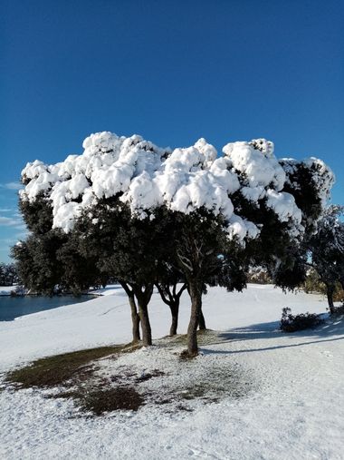 Jcestradaliebana en Hamelin: Paisaje  (Castropodame), #paisajes #landscape