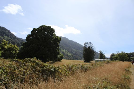 XxPrOzMeNxX en Hamelin: Paisaje, #camino #arboles #cerro #pasto #seco #cielo #azul #nubes 