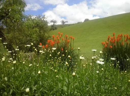 luckytulian en Hamelin: Paisaje 