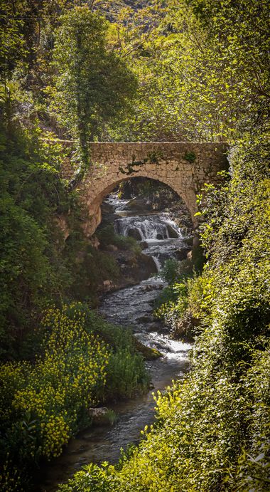 Franciscoperez25 en Hamelin: Paisaje  (Cazorla), Río Cerezuelo a su paso por Cazorla pueblo
