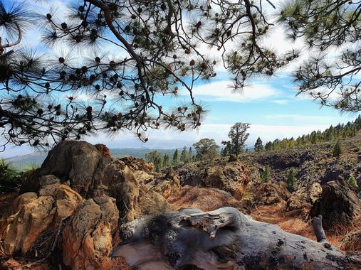 Melchique en Hamelin: Paisaje  (Granadilla de Abona), Una ruta hacia la montaña Guajara desde Vilaflor 
#tenerife #landscape #landscapephotography #trekkin...