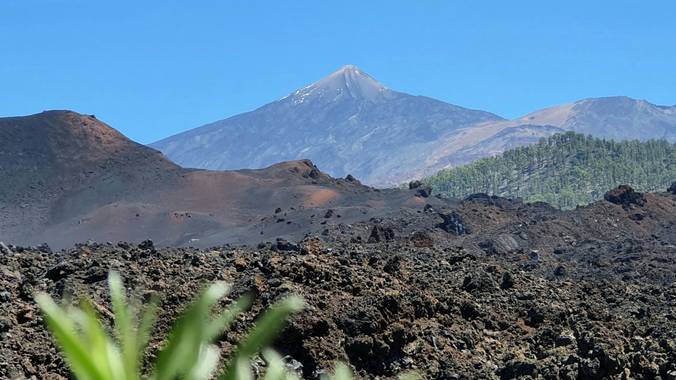 Melchique en Hamelin: Paisaje  (El Tanque), Entre cada dos pinos hay una puerta a un mundo nuevo🌲💚
El volcán Chinyero tiene una altitud de 1560 . Reserva...