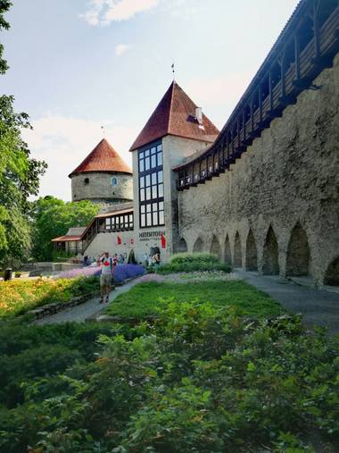 Rosa Corbo en Hamelin: Paisaje  (Kesklinna linnaosa), Bastión de la muralla defensiva de Tallinn, del siglo XIII. Se puede observar un pasillo de madera qu...