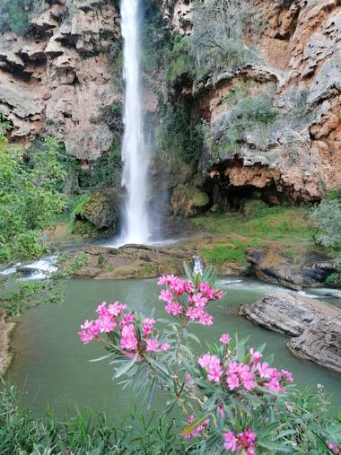 Pil_artero en Hamelin: Paisaje 