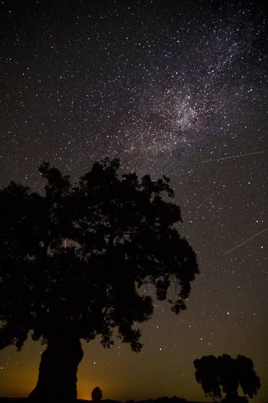 Pepesy00 en Hamelin: Paisaje  (Pozoblanco), Esta foto fue tomada en el valle de los pedroches, esta zona está considerada reserva starlight por la poca con...