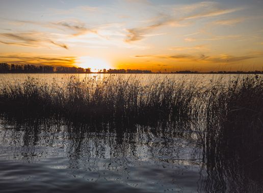 Jed90 en Hamelin: Paisaje, #atardecer 
#sanmigueldelmonte 
#buenosaires 
