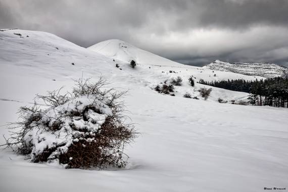 Unai Urresti en Hamelin: Paisaje  (Trucios), Nieve.

#Invierno20 #nieve 