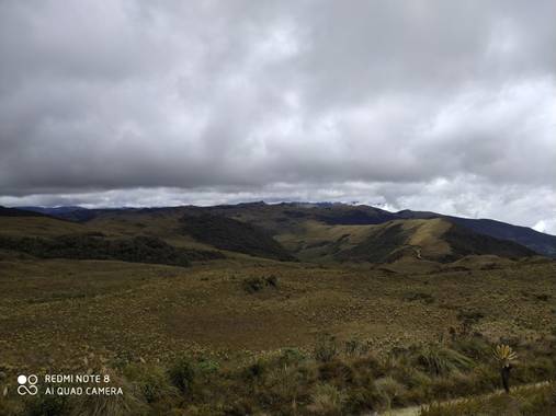 reotorozco en Hamelin: Paisaje  (Pijao), #paramodelchili, #pijao, #quindio