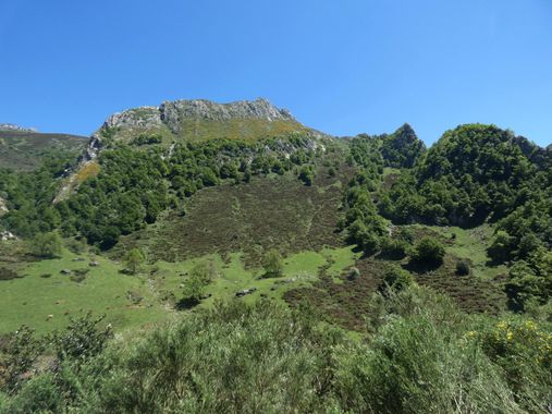 mariale en Hamelin: Paisaje  (Caso), 📸 #marialemdza
💚 🌿🌸🌿💚
#CumpleHamelin
#Naturaleza #BellezaNatural  
#Asturias  #Montaña #forest #bosque #ParaísoN...