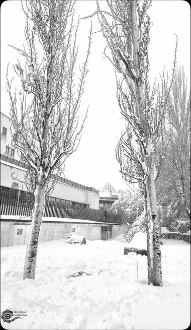 Soryknoxfotografias en Hamelin: Paisaje  (Madrid), #invierno20#paisaje#nieve
