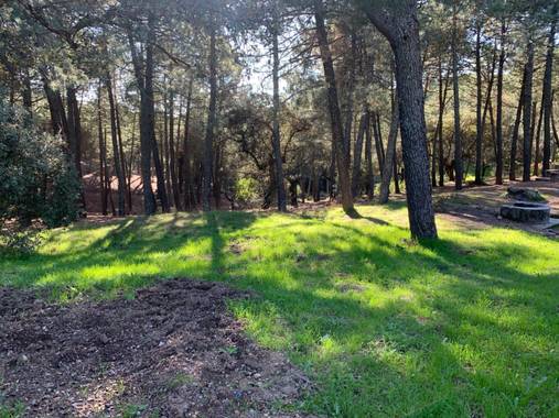Manubarbecho en Hamelin: Paisaje  (Córdoba), #ParquesyJardines      Parque Forestal Los Villares (Córdoba) 