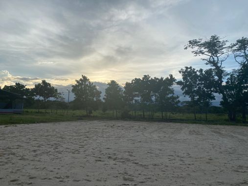 marigoz480 en Hamelin: Paisaje  (Tame), #llano