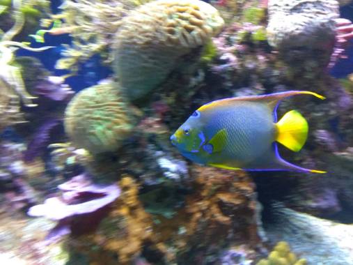 GreenPhoto en Hamelin: Fauna 