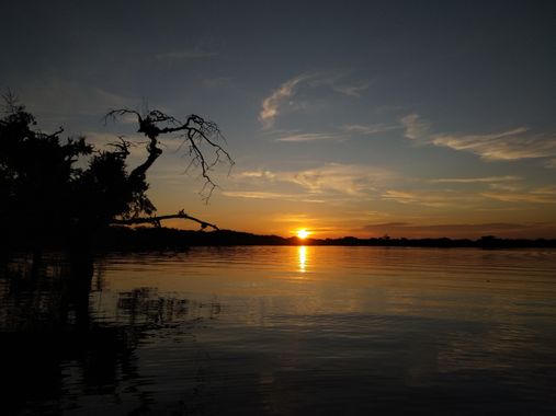 pablolopezgalvez en Hamelin: Paisaje  (Aguarico), #landscape #ecuador #amazoniaecuatoriana #amazonia 