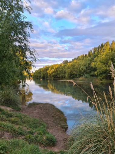 Amancayespinosa en Hamelin: Paisaje  (Neuquén), Reflejo