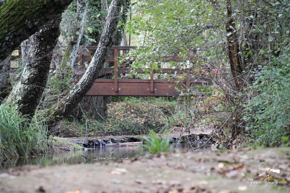Toni Sempa en Hamelin: Paisaje  (Santa Ana la Real), Ruta de los Libros y Riscos de Levante.
#agua #rio #landscape #paisaje #rurales #rural #andalucia #hue...