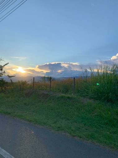 #adrimoreno en Hamelin: Paisaje  (Cartago), Atardecer@afrodita2081