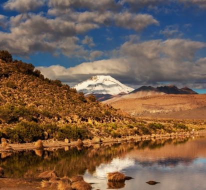 Pachamama en Hamelin: Flora, .