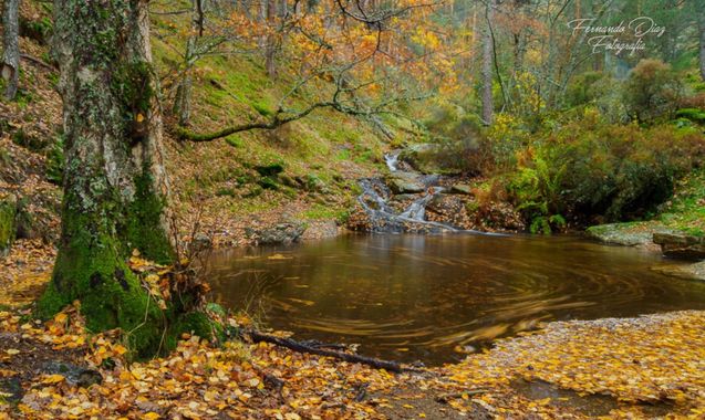 fdhphotos en Hamelin: Paisaje  (Canencia), #madrid 
