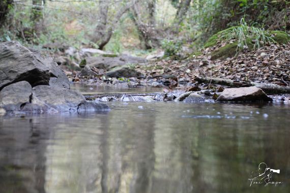 Toni Sempa en Hamelin: Paisaje  (Santa Ana la Real), Ruta de los Libros y Riscos de Levante.
#agua #rio #rurales #rural #andalucia #huelva  