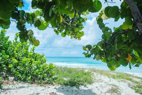 timoteo963 en Hamelin: Paisaje  (Varadero), #playa 