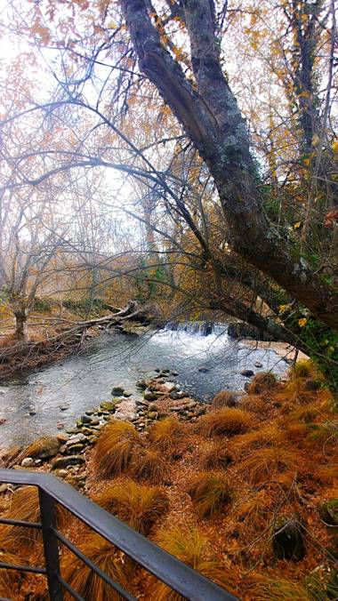 Raquelitacaceres1969 en Hamelin: Paisaje  (Rascafría), #bosquefinlandes#Rascafria.