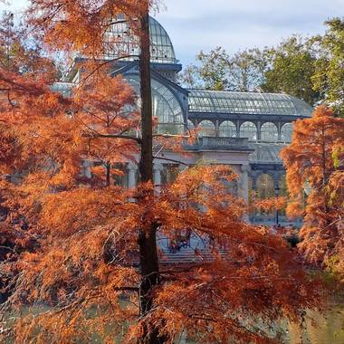 Carodom87 en Hamelin: Paisaje, Itoñi en Parque de Retiro 