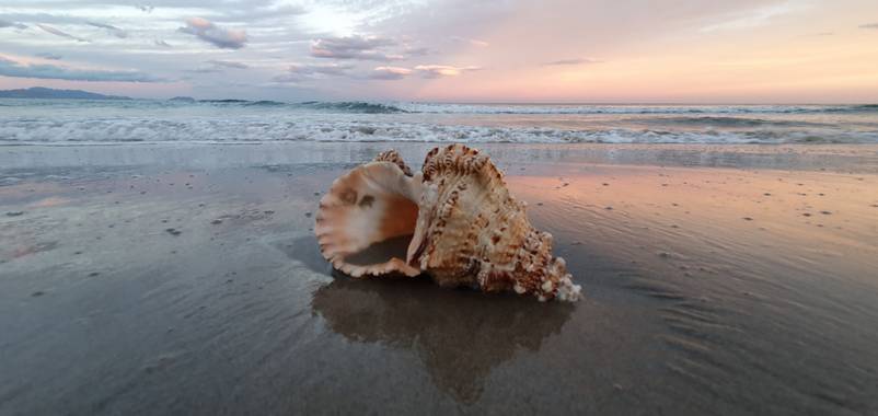 Lidiateruelwizner en Hamelin: Paisaje  (Alicante), Playas Alicantinas 
# mar#paz#azul#atardecer#agua#