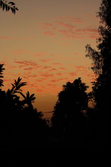 XxPrOzMeNxX en Hamelin: Paisaje, #arboles #atardecer #bäume #celeste #cielo #clouds fotografía #fotografie #himmel #nubes #phothography #shadows #sky #sky...