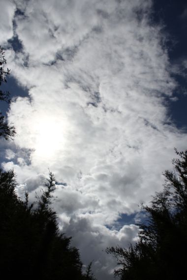 XxPrOzMeNxX en Hamelin: Paisaje, #arboles #azul #bäume #blau #bluesky #blue #cielo #clouds #colores #colors #farben #fotografia #fotografie #himmel #licht...