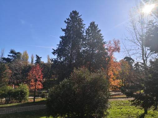 iambutterflyspirit en Hamelin: Paisaje  (Madrid), Parque de Berlín #ParquesyJardines