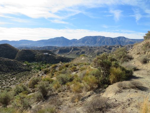 Solerantonio2 en Hamelin: Paisaje  (Santa Cruz de Marchena), Coincidencias visuales