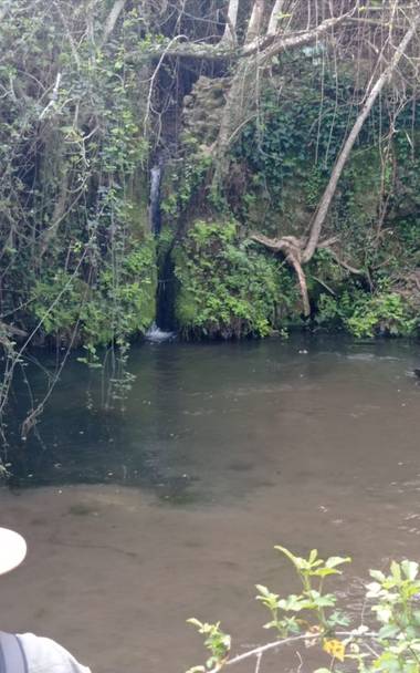 Lunamartin en Hamelin: Paisaje, Nacimiento del arroyo Bejarano