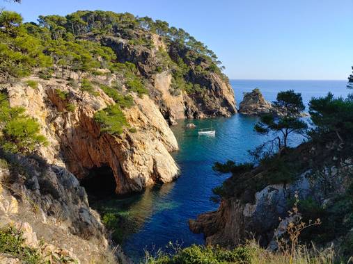 Raquel Galo en Hamelin: Paisaje, Camino de Ronda; 2020




#paisaje #naturaleza #natura #catalunya_natura #emporda #mar #girona 