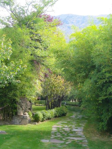 rqsalcedo en Hamelin: Paisaje  (San Esteban del Valle)