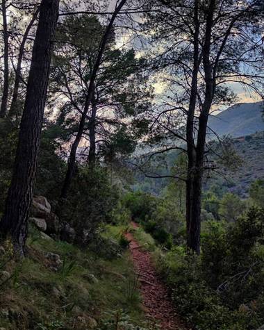 aidalzira en Hamelin: Paisaje  (Llíber), Montañera de llíber,tarde de paseo.
#paisajes #paisaje 