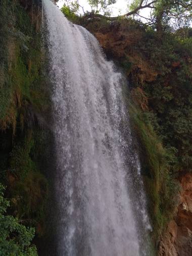 GreenPhoto en Hamelin: Paisaje 