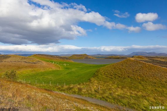 Ignoto en Hamelin: Paisaje  (Skútustaðahreppur), #islandia 