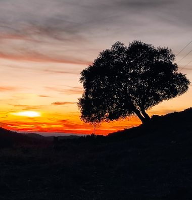 Luroca7933 en Hamelin: Paisaje  (Almodóvar del Campo), #minasdelhorcajo#puestadesol#valledealcudia