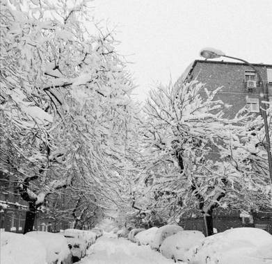 Pilicupa en Hamelin: Paisaje  (Madrid), #invierno20 