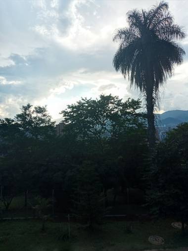 JA/Editor📷 en Hamelin: Paisaje  (La Candelaria), #parquesyjardines 