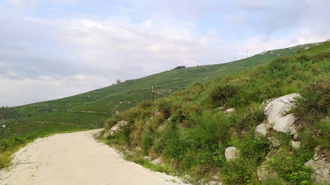 David en Hamelin: Paisaje  (As Neves), #paisaje
