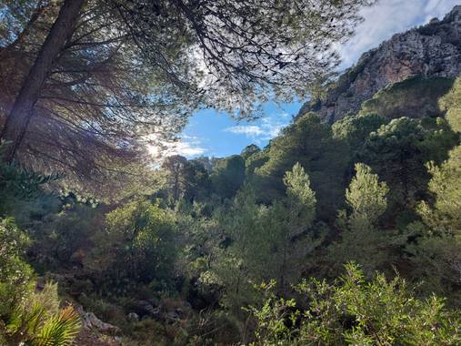 Apasnau75 en Hamelin: Paisaje  (Alhaurín de la Torre), Camino al Pico Paloma