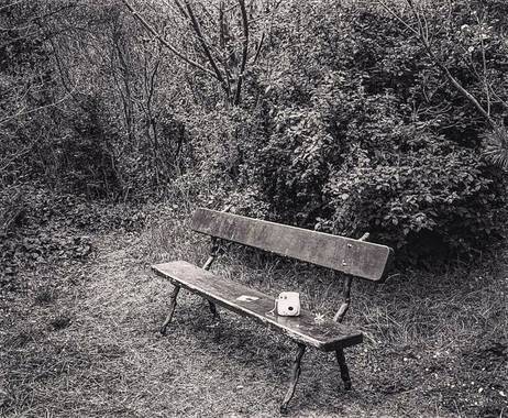 Bea San en Hamelin: Paisaje  (Madrid), Rincon secreto 🤫

#parquesyjardines #ParqueElCapricho #madrid #banco #rinconsecreto #parque #paisaje #blancoynegro ...