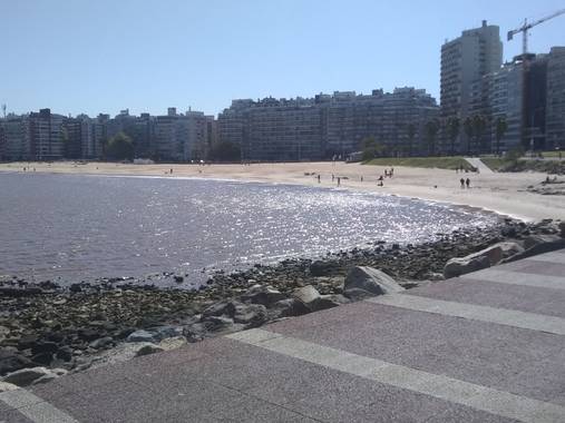 Letazblunti en Hamelin: Paisaje  (Montevideo), Pocitos . Uruguay 😊🇺🇾