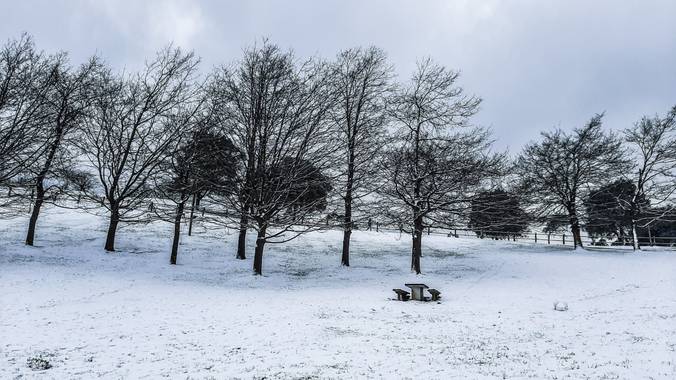 Conchivh en Hamelin: Paisaje  (Oviedo), #invierno20#elnarancooviedo