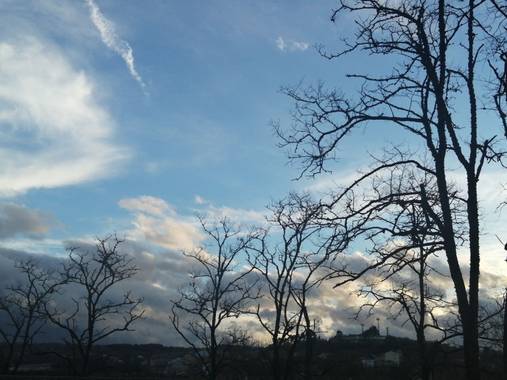 Susandresro en Hamelin: Paisaje  (Lugo), Trees and sky! 