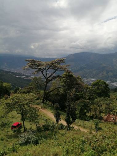 Bibianafrancop en Hamelin: Paisaje  (Copacabana), Hermoso paisaje. Copacabana. Antioquia vda. El cabuyal
