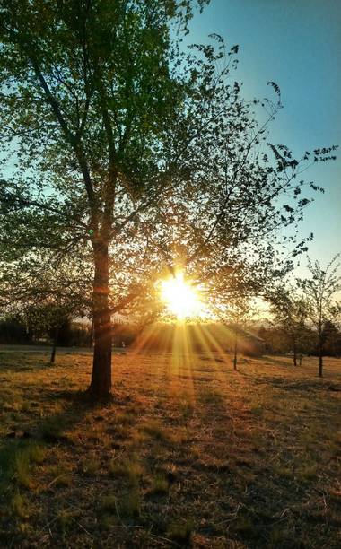 Marianaquimeycenturion en Hamelin: Paisaje  (Los Reartes), #ParquesyJardines 