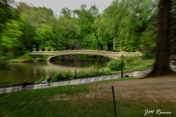 ramosbarbero.jm en Hamelin: Paisaje, #paisajesyjardines  disfrutando del viaje de novios en nueva york haciendo zooming en central park